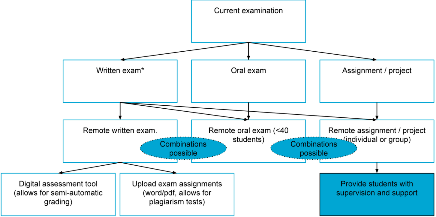 remote assessment types